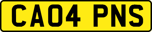 CA04PNS