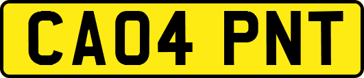 CA04PNT