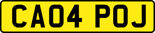 CA04POJ