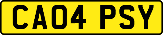 CA04PSY