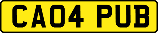 CA04PUB