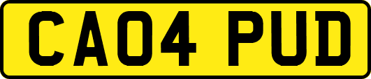 CA04PUD