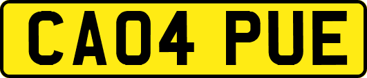 CA04PUE