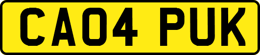CA04PUK