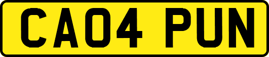 CA04PUN