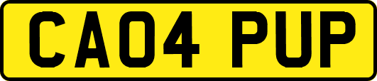 CA04PUP