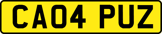 CA04PUZ
