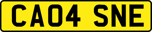 CA04SNE
