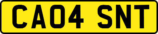 CA04SNT