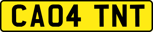 CA04TNT
