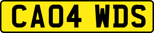 CA04WDS