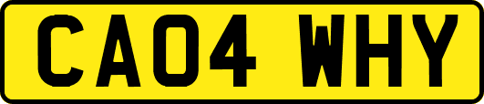 CA04WHY
