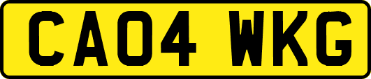 CA04WKG