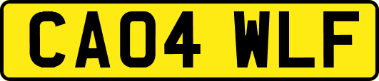 CA04WLF