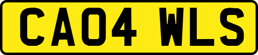 CA04WLS