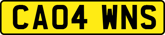 CA04WNS