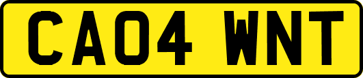 CA04WNT