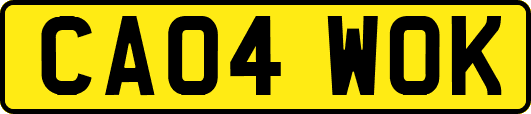 CA04WOK