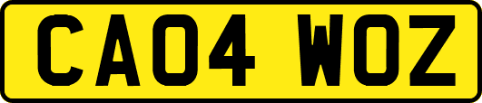 CA04WOZ