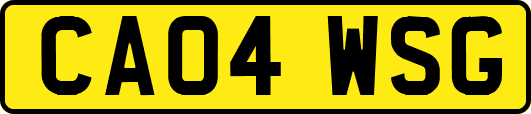 CA04WSG