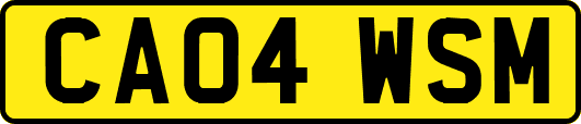 CA04WSM