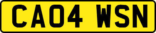 CA04WSN