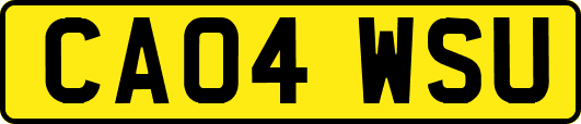 CA04WSU