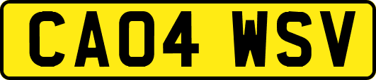 CA04WSV