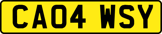 CA04WSY
