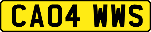 CA04WWS