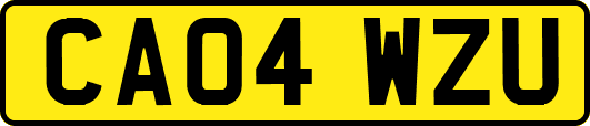 CA04WZU