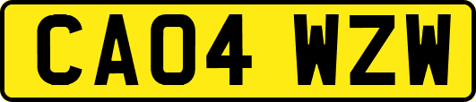 CA04WZW