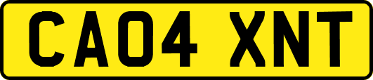 CA04XNT