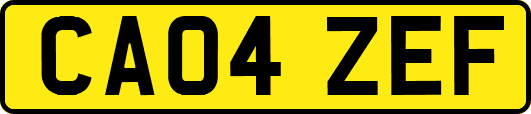CA04ZEF