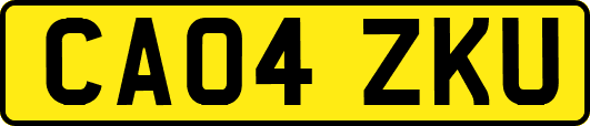 CA04ZKU