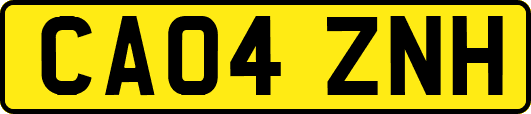 CA04ZNH