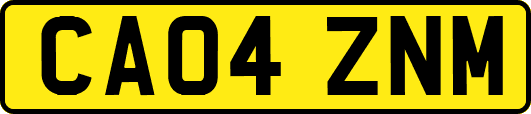CA04ZNM
