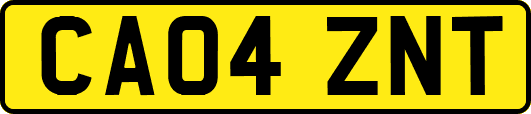CA04ZNT