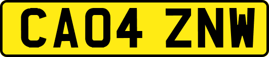 CA04ZNW