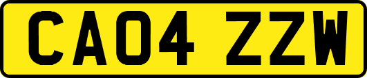 CA04ZZW