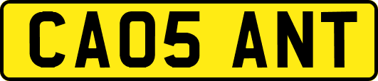 CA05ANT