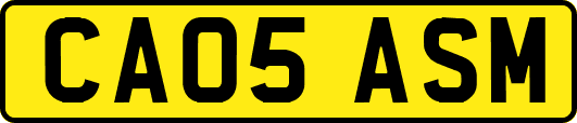 CA05ASM