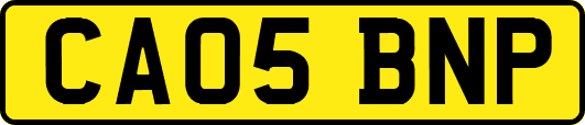 CA05BNP