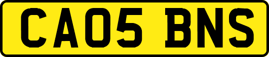 CA05BNS