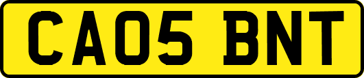 CA05BNT