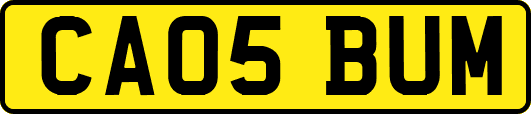 CA05BUM