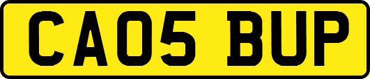 CA05BUP
