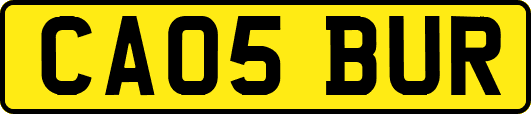 CA05BUR