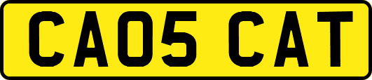 CA05CAT