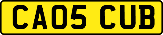 CA05CUB